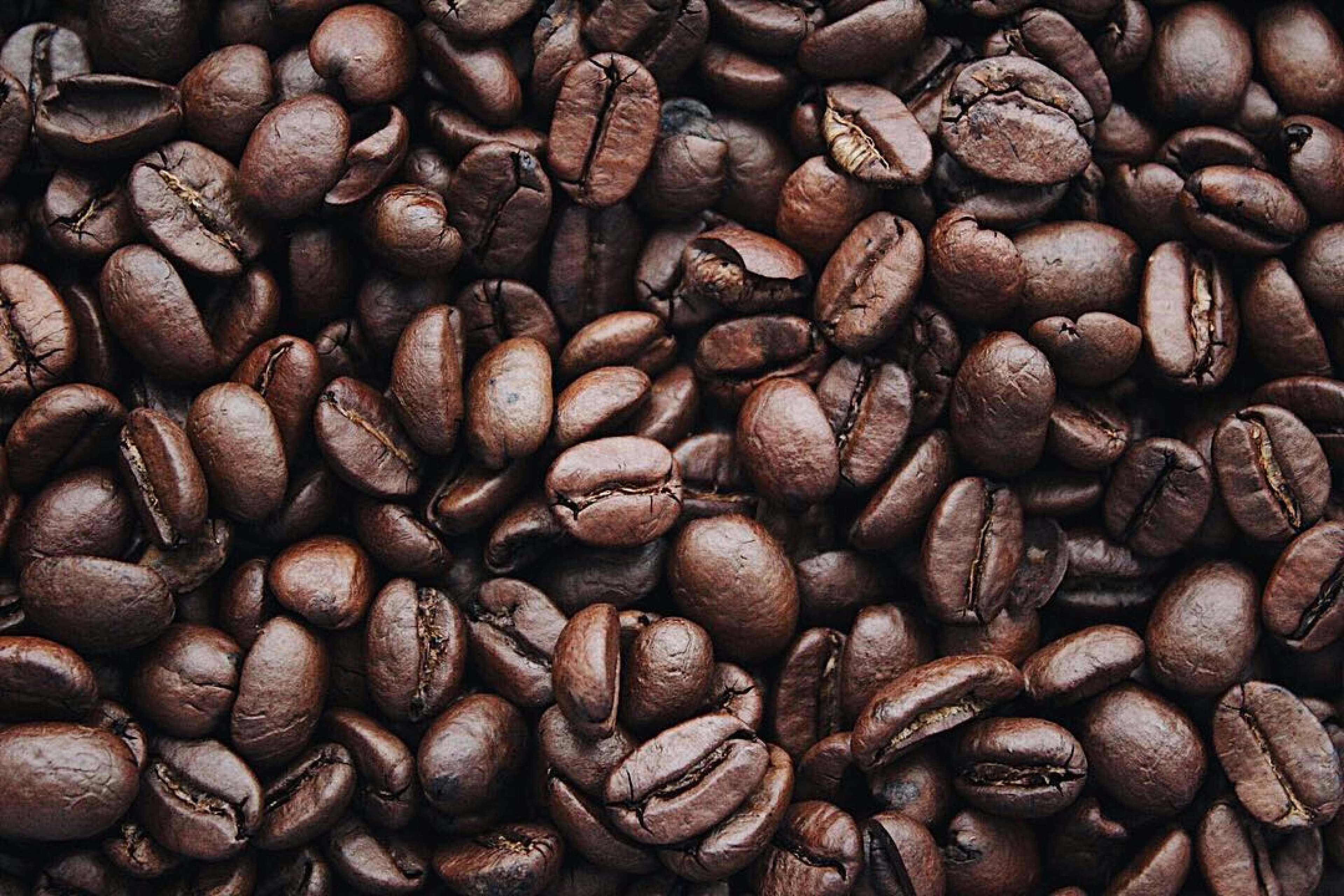 Indie Americano
